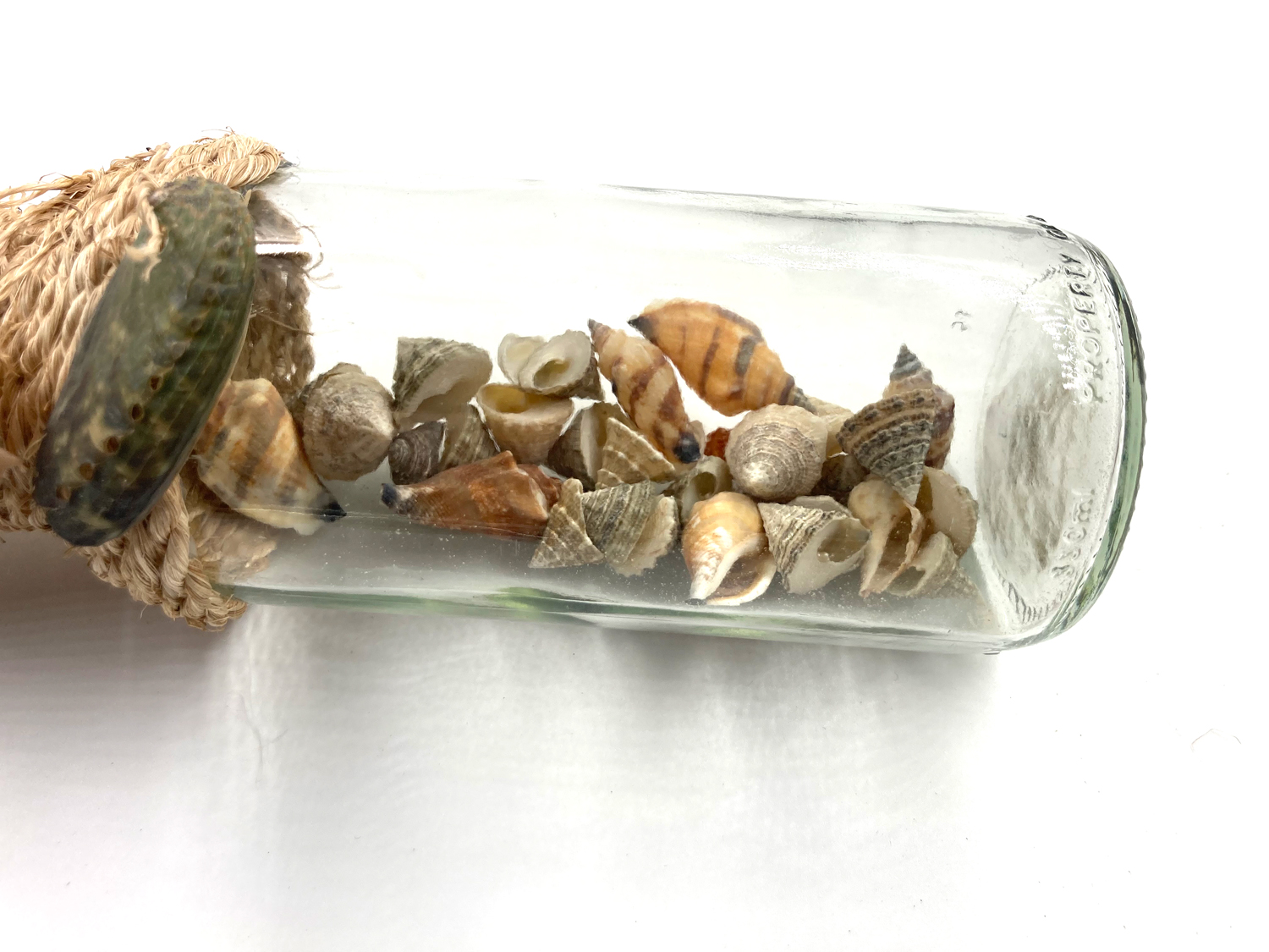 Dekoflasche mit Muscheln Maritim