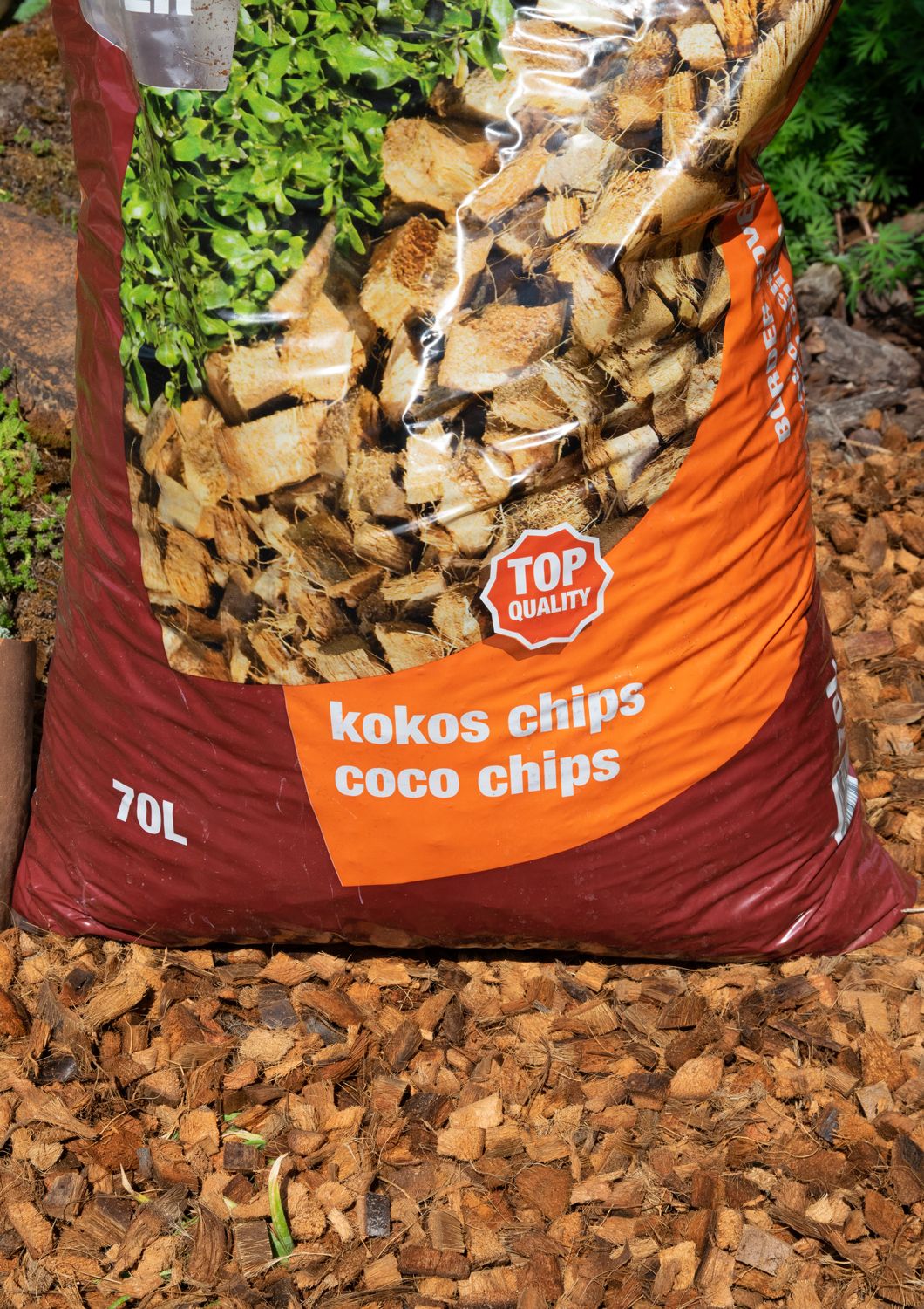 Kokos Chips Decor