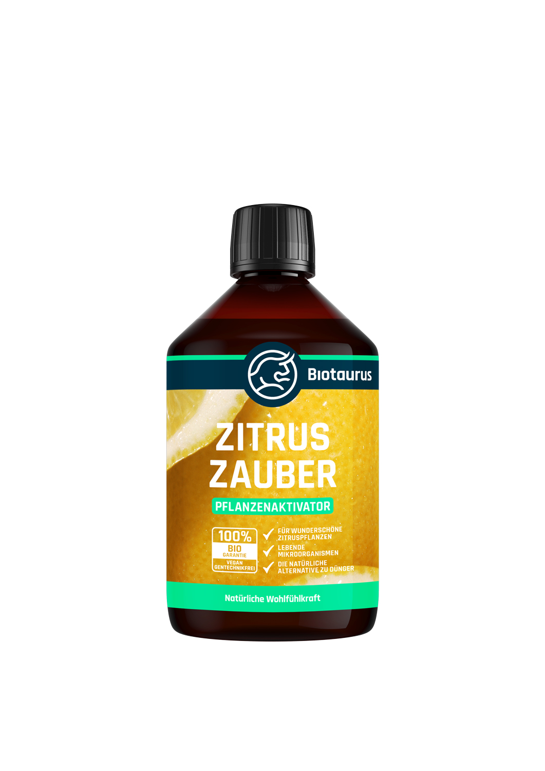 Zitrus Zauber