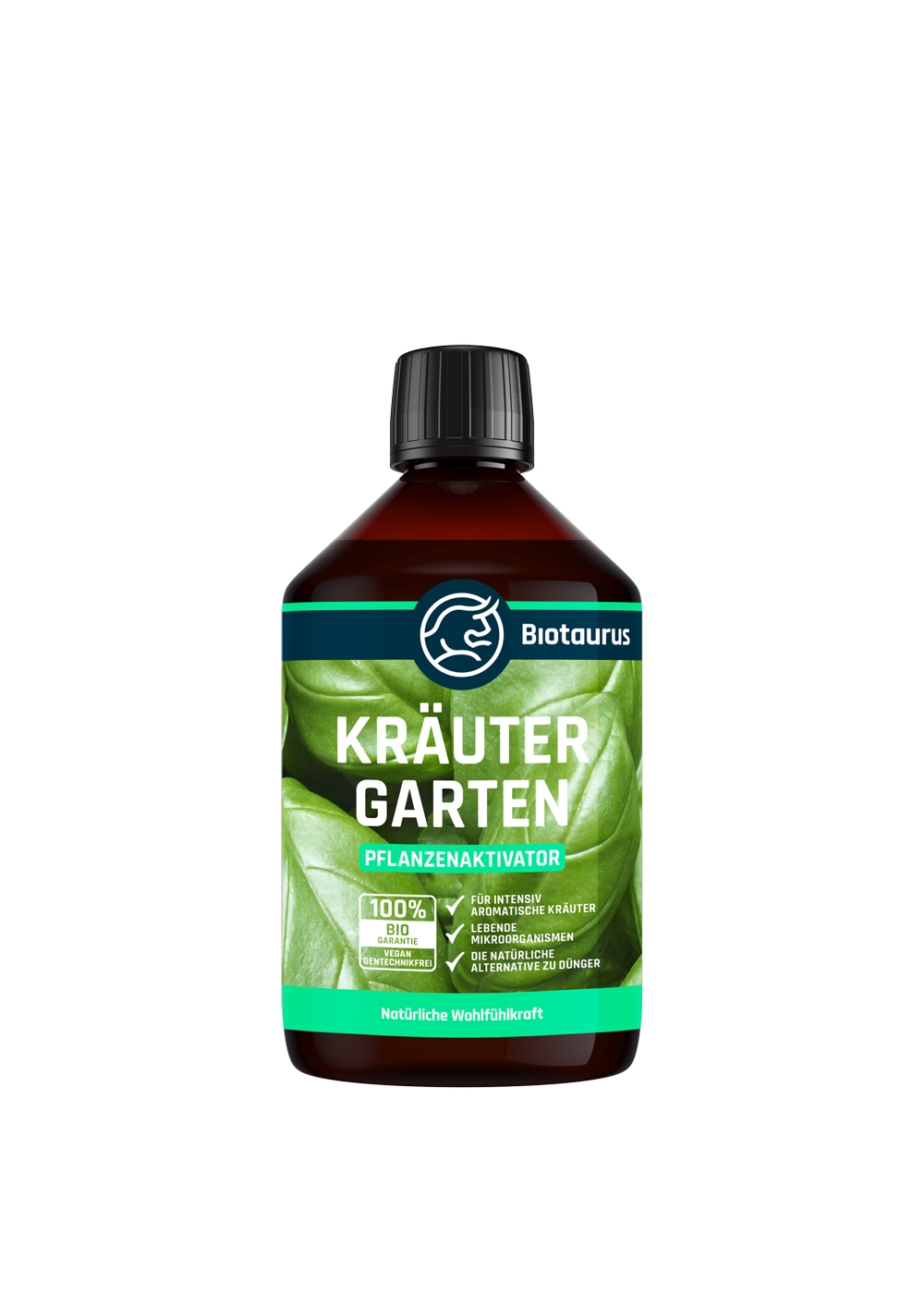 Kräuter Garten